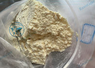Trenbolone Steroid Powder 99.03% Trenbolone Acetate CAS 10161-34-9