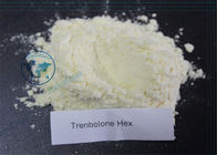 Anabolic Steroids Powder Trenbolone Hexahydrobenzyl Carbonate CAS 23454-33-3