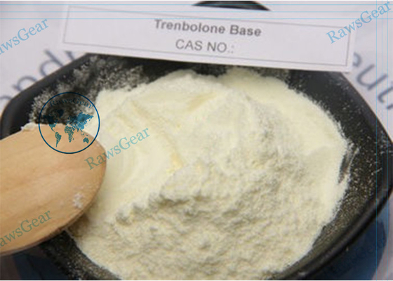 China 99% Purity Trenbolone Base Trenbolone Steroid Powder For Muscles Growth supplier