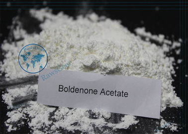 China Boldenone Steroid Hormone Powder Boldenone Acetate CAS 2363-59-9 supplier