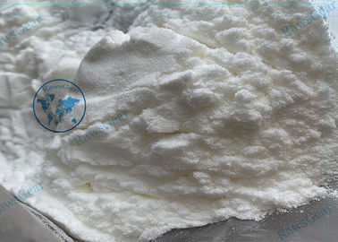 China Male Testosterone Hormone Powder 99.6% Testosterone Phenylpropionate TPP supplier