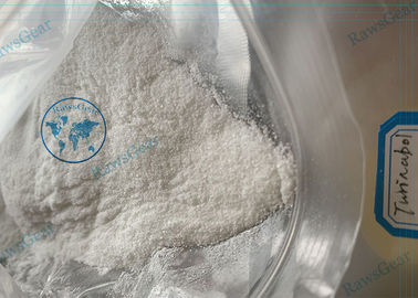 China 99%+ Putiry Oral Turinabol Powder 4-Chlorodehydromethyltestosterone ( Oral Tbol ) supplier