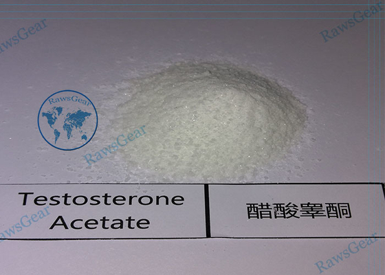 China Oral Testosterone Steroids 4-Chlorotestosterone Acetate / Clostebol Acetate powder supplier