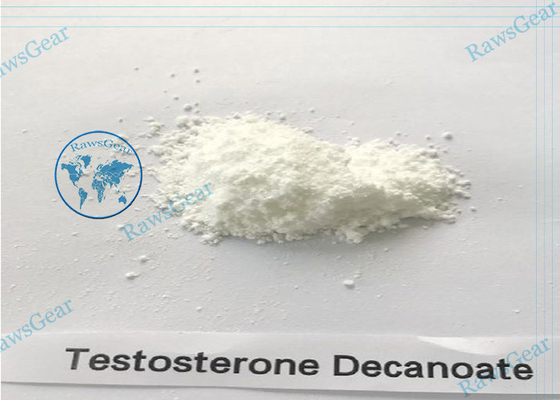 Anabolic Steroid Hormone Powder Testosterone Decanoate CAS 5721-91-5 supplier