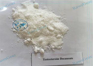 Anabolic Steroid Hormone Powder Testosterone Decanoate CAS 5721-91-5 supplier