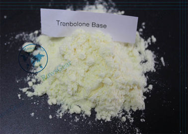 99% Purity Trenbolone Base Trenbolone Steroid Powder For Muscles Growth supplier