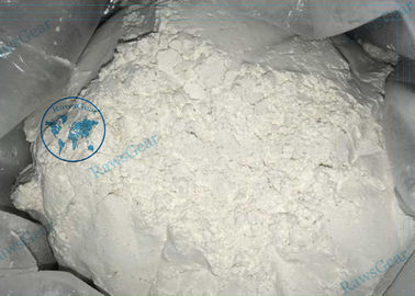 Male Hormone Steroid Prohormone Powder Androstenedione 4-Androstenedione supplier