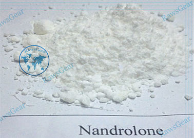 Anabolic Androgenic Steroid Powder Nandrolone Base CAS 434-22-0 supplier