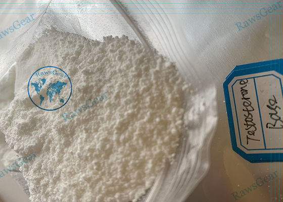 Testosterone Steroid Powder Testosterone Base ( Suspension Injection )
