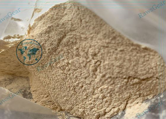 99%+ Purity Anti Estrogens Steroids Clomiphene Citrate Powder Clomid Cycle